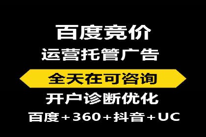 SEM外包服务应用案例分析